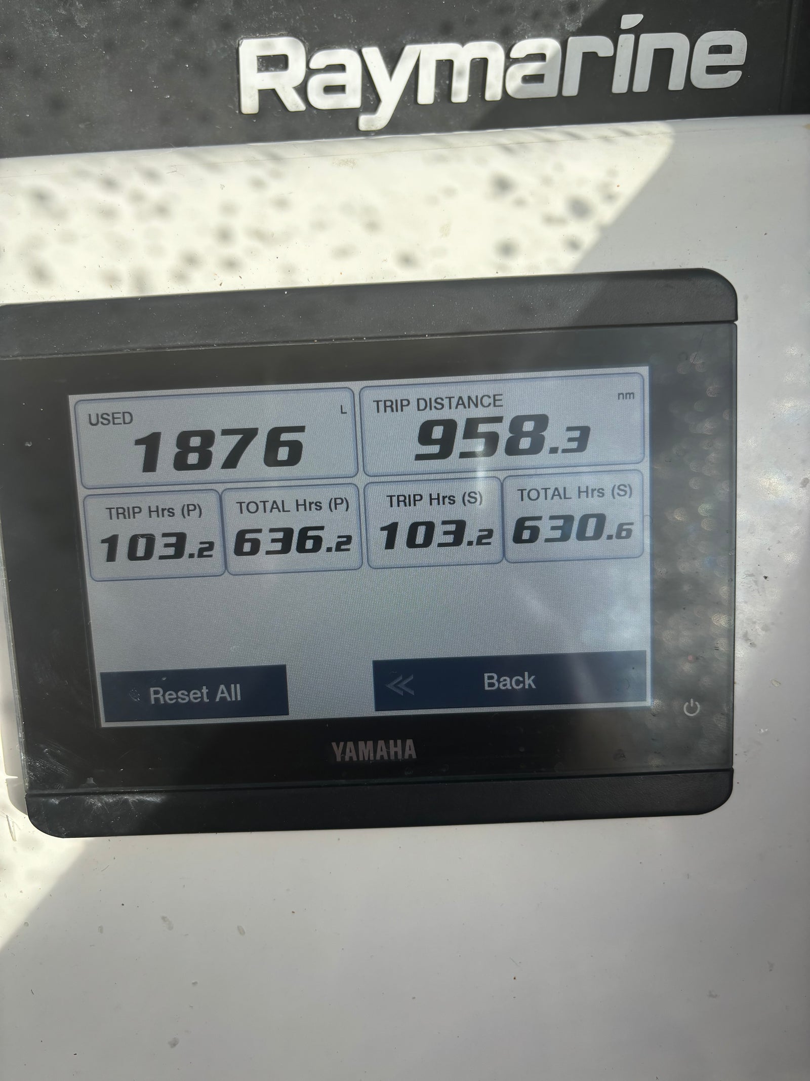 Bass Strait Offshore 24 'Gringo'